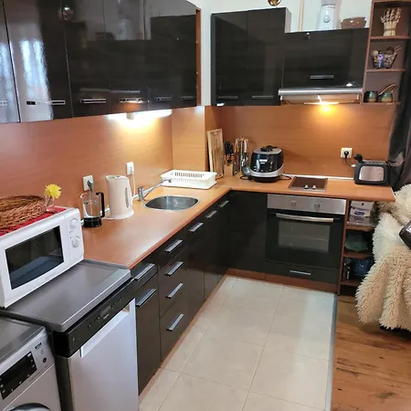 Neon Tegrity Apartment Bansko